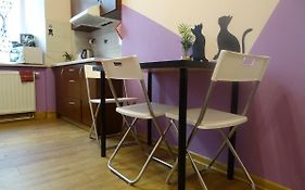 Cat Hostel Krakow